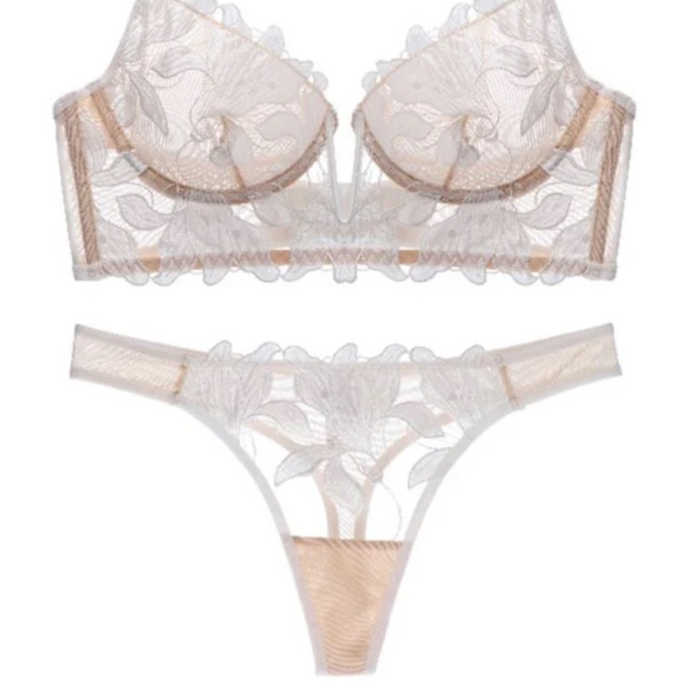 IZA Lotus Ivory Satin Embroidered Over Sheer Mesh Deep V Bustier Bra & Panties - Picture 14 of 15